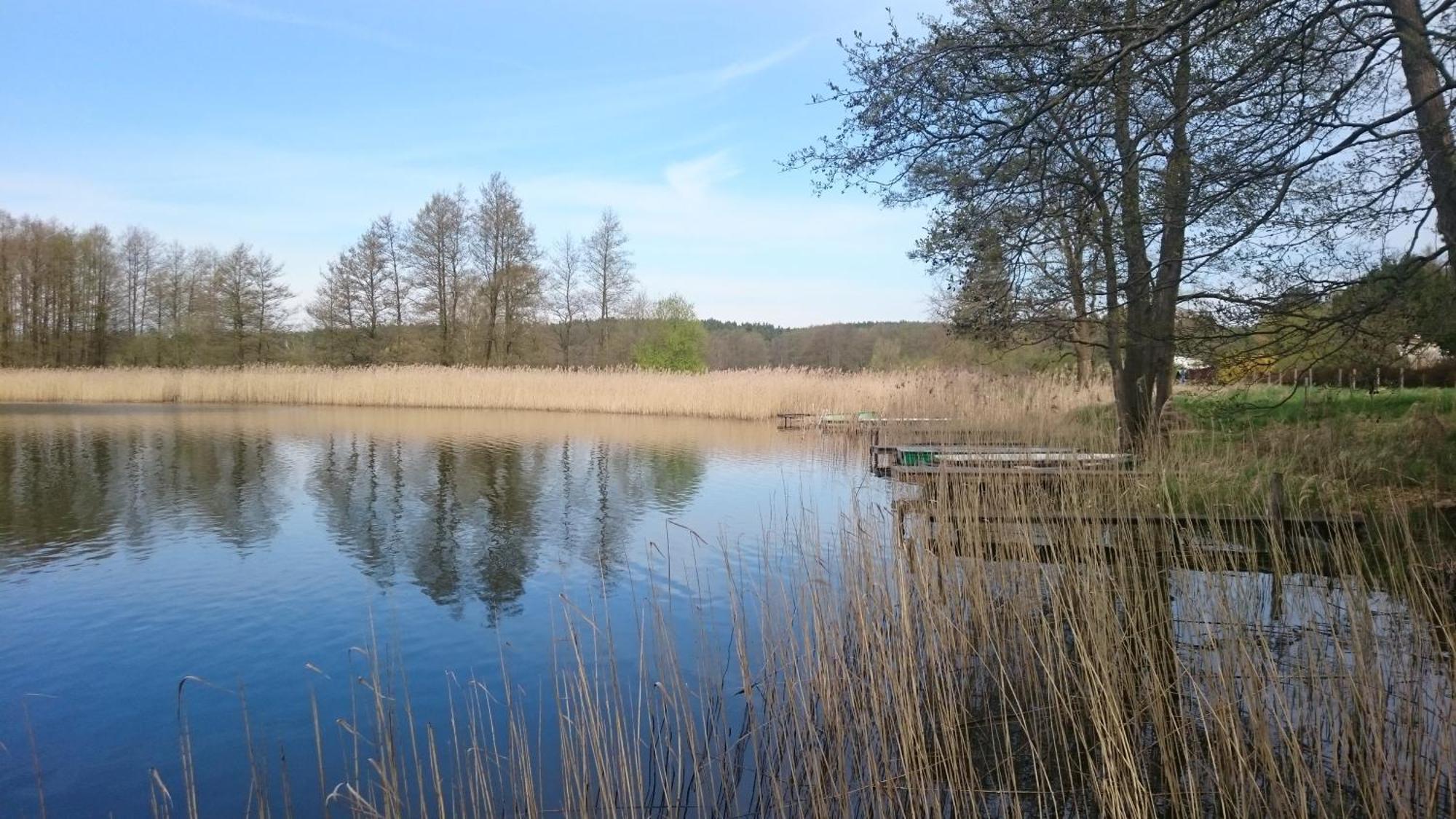 Idyll im Land der 1000 Seen Liessow  Buitenkant foto